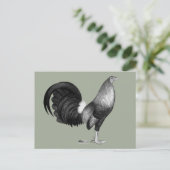 Gamecock Red Hatch Briefkaart (Staand voorkant)