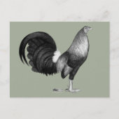 Gamecock Red Hatch Briefkaart (Voorkant)