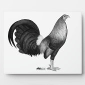 Gamecock Red Hatch Fotoplaat (Voorkant)