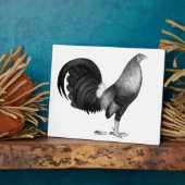 Gamecock Red Hatch Fotoplaat (Zijkant)