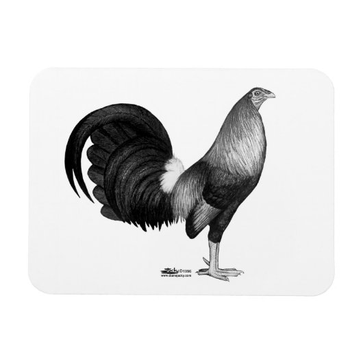 Gamecock Red Hatch Magneet (Horizontaal)