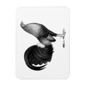 Gamecock Red Hatch Magneet (Verticaal)