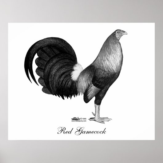 Gamecock Red Hatch Poster (Voorkant)