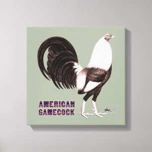 Gamecock Sepia Canvas Afdruk