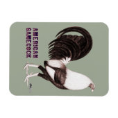 Gamecock Sepia Magneet (Horizontaal)