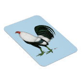 Gamecock Silver Duckwing Magneet (Rechterzijde)
