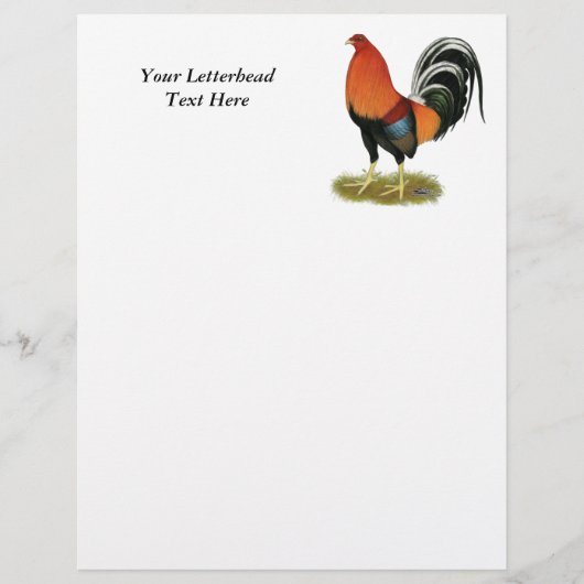 Gamecock Wheaten Rooster (Voorkant)