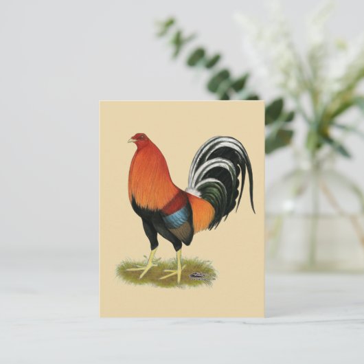 Gamecock Wheaten Rooster Briefkaart (Staand voorkant)