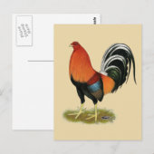 Gamecock Wheaten Rooster Briefkaart (Voorkant / Achterkant)