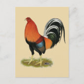 Gamecock Wheaten Rooster Briefkaart (Voorkant)