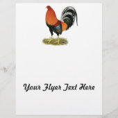 Gamecock Wheaten Rooster Flyer (Voorkant)