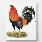 Gamecock Wheaten Rooster Fotoplaat (Voorkant)