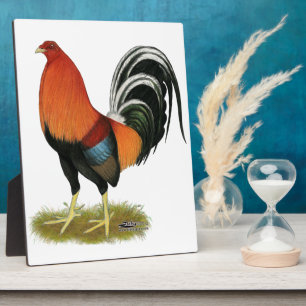 Gamecock Wheaten Rooster Fotoplaat