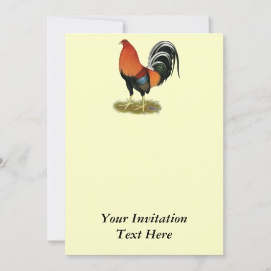 Gamecock Wheaten Rooster Kaart (Voorkant)