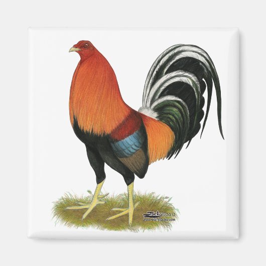 Gamecock Wheaten Rooster Magneet (Voorkant)