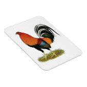 Gamecock Wheaten Rooster Magneet (Rechterzijde)