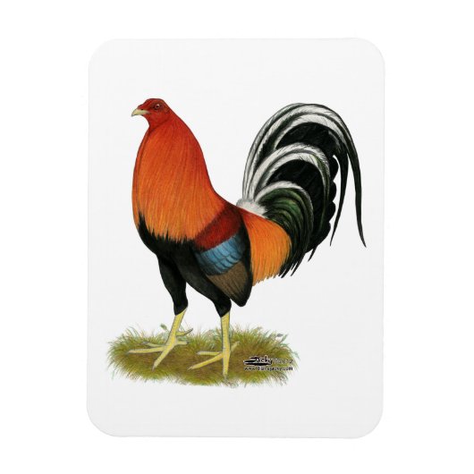 Gamecock Wheaten Rooster Magneet (Verticaal)