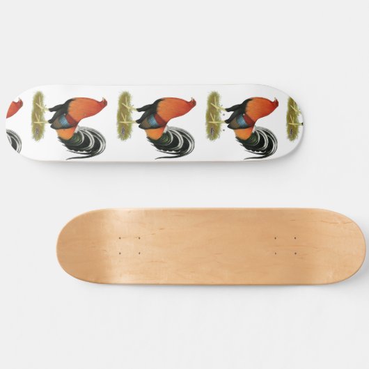 Gamecock Wheaten Rooster Persoonlijk Skateboard (Horizontaal)