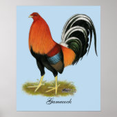 Gamecock Wheaten Rooster Poster (Voorkant)