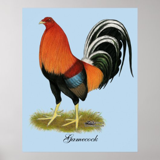 Gamecock Wheaten Rooster Poster (Voorkant)