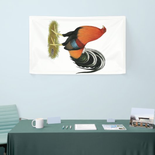 Gamecock Wheaten Rooster Spandoek (Beurs)