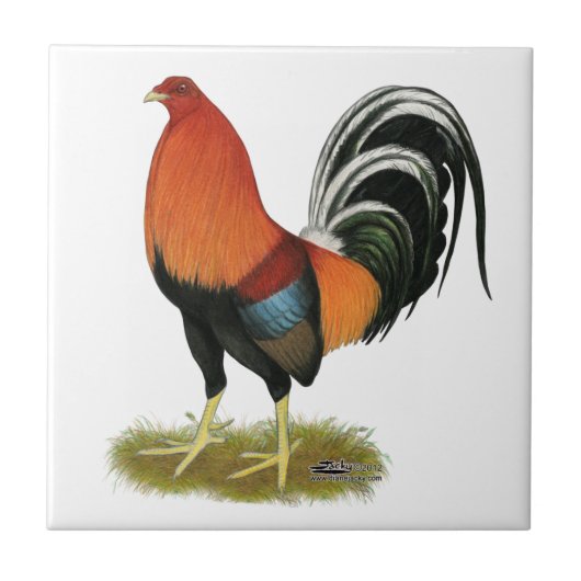 Gamecock Wheaten Rooster Tegeltje (Voorkant)