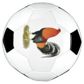 Gamecock Wheaten Rooster Voetbal (Gedraaid)