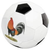 Gamecock Wheaten Rooster Voetbal (Drie kwart)