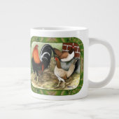 Gamefowl op het Boerderij Grote Koffiekop (Rechts)