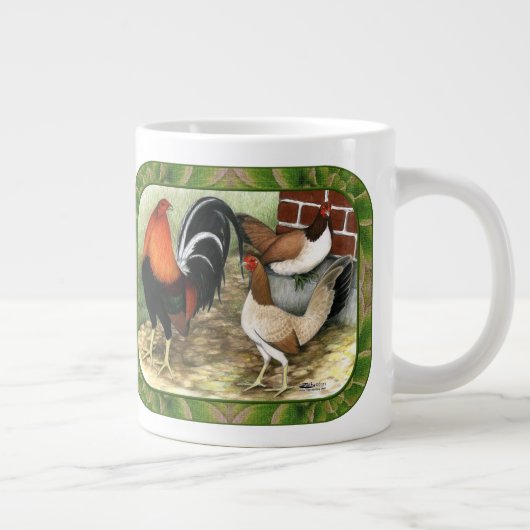 Gamefowl op het Boerderij Grote Koffiekop (Rechts)