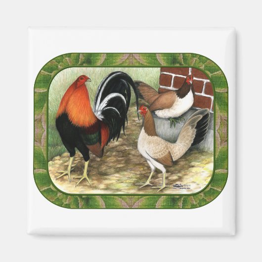 Gamefowl op het Boerderij Magneet (Voorkant)