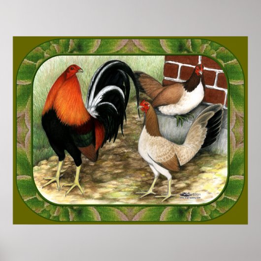 Gamefowl op het Boerderij Poster (Voorkant)