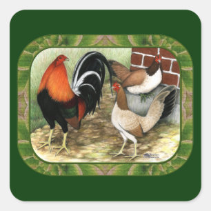 Gamefowl op het Boerderij Vierkante Sticker