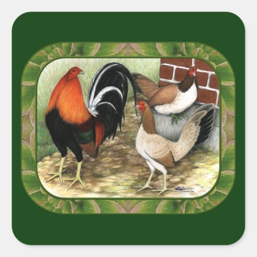 Gamefowl op het Boerderij Vierkante Sticker (Voorkant)