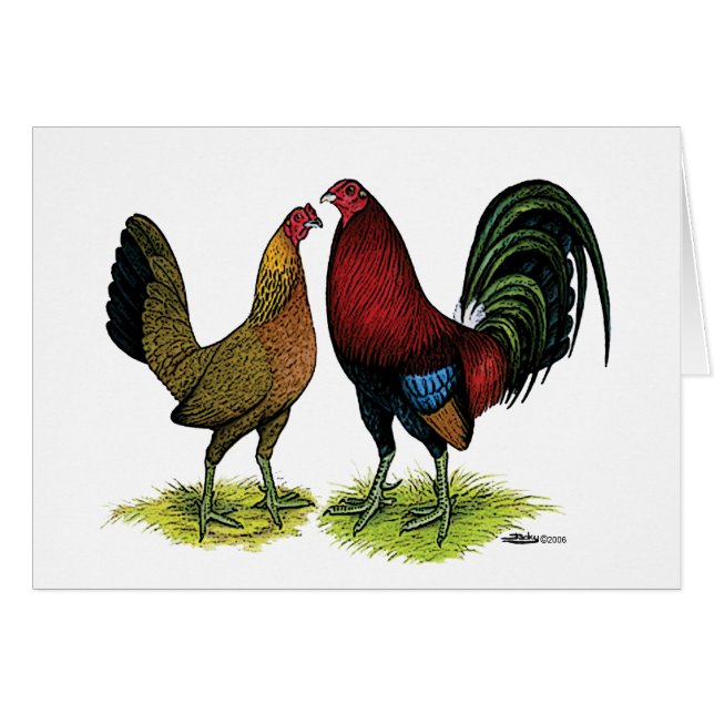 Gamefowl Pair (Voorkant Horizontaal)