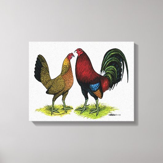 Gamefowl Pair Canvas Afdruk (Voorkant)