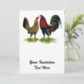 Gamefowl Pair Kaart (Staand voorkant)