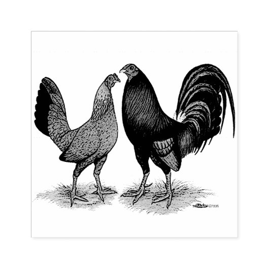 Gamefowl Pair Rubberstempel (Afrduk)