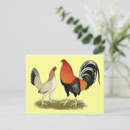 Gamefowl Wheatens Briefkaart (Staand voorkant)