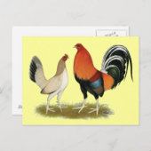 Gamefowl Wheatens Briefkaart (Voorkant / Achterkant)