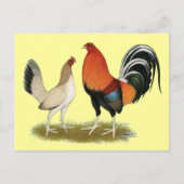Gamefowl Wheatens Briefkaart (Voorkant)