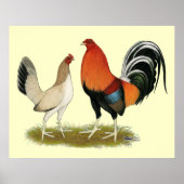 Gamefowl Wheatens Poster (Voorkant)