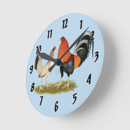 Gamefowl Wheatens Ronde Klok (Hoek)