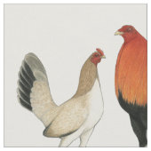 Gamefowl Wheatens Stof (Close Up)