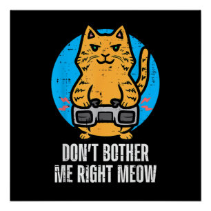 Gamer Kat Stoor Me Niet Miauw Grappige Gamen Manne Perfect Poster