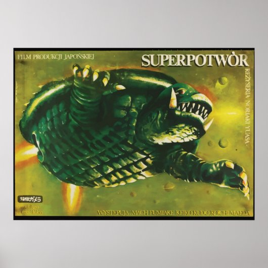 Gamera in Polen Poster (Voorkant)