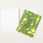 Gamma-burst Planner (Display)