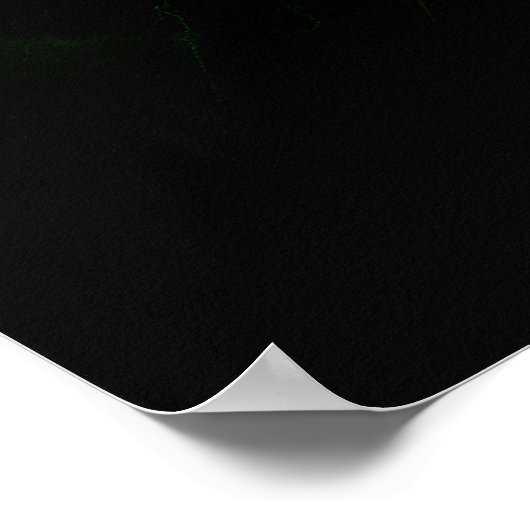 Gamma Ray Burst Poster (Hoek)