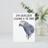 Gamme Perroquet - Gris du Gabon Briefkaart (Staand voorkant)