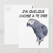 Gamme Perroquet - Gris du Gabon Briefkaart (Voorkant / Achterkant)